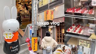 japan vlog 🍥 autumn in tokyo, asakusa sensoji temple, flower miffy, ginza, shopping streets, udon