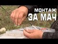 Монтаж за риболов с мач / Match fishing rig