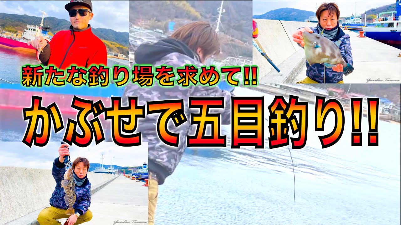 新たな釣り場を求めて‼️かぶせで五目釣り‪🎣‬in 江田島 柿浦漁港 ,倉橋 釣士田