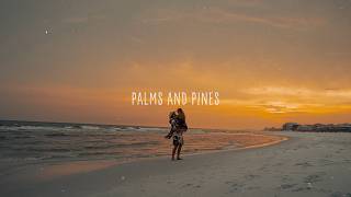 Palms And Pines