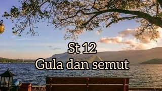 St 12|Gula dan semut 🐜 |lirik