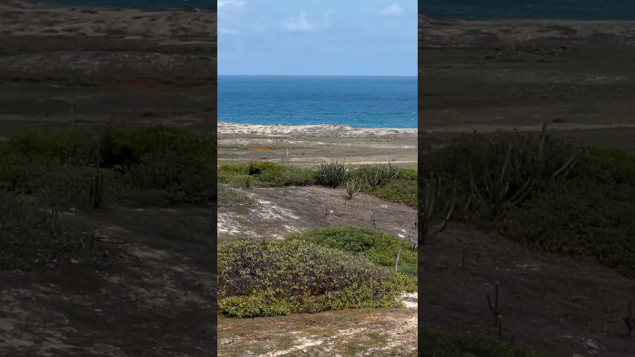 PRAIA PARADISÍACA! FORTALEZA, CEARÁ! 