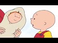 Kajtus i Dziecko | Kajtuś po Polsku [Caillou] - WildBrain