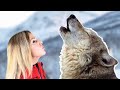 Why Do Wolves Howl? Types & Meanings πΊ