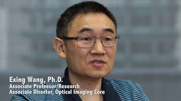 Optical imaging core laboratory offers high-end imaging of living cells and tissue
