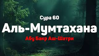 Сура 60 Аль-Мумтахана - Абу Бакр Аш-Шатри
