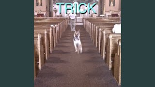 Trick - Alex G