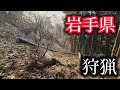 #48 ツキノワグマを追跡