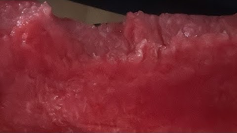 Eating watermelon 🍉 !