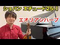 ショパン エチュード25-1「エオリアンハープ」をヴァイオリンで演奏してみたChopin Etude 25-1 "Aeolian Harp" Violin Cover