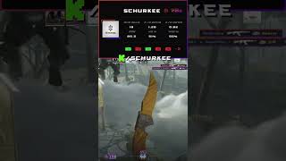 Day 105 of posting 1 CS2 clip every day until I go PRO!