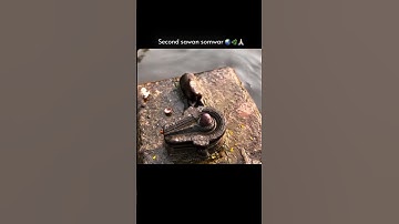 Sawan status || Sawan somvar status |Mahadev status mahadev somvar status #trending #viral #mahadev