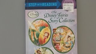 Disney Fairies Story 