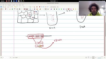 BIOL315 Lecture02 0 RNASeq The ideas behind assessing expression levels by sequencing