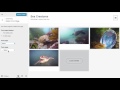 {wp intro} static home page
