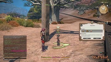 Final Fantasy XIV Online: A Realm Reborn -  [PC] Early Access Part 6 (Walkthrough/Gameplay)