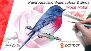 ROSE ROBIN - LESSON In Watercolour Introduction