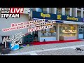 Die Katzen im Laden und ihr neues Katzenhaus in Kumköy. Live