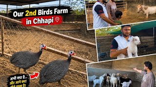 हमारा दूसरा Birds Farm Chhapi में 😍 अभी क्या है और आगे क्या बनने वाला है!