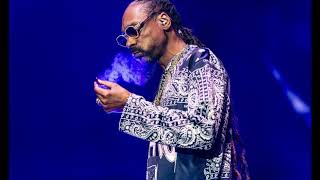 FREE] Snoop Dogg Chill G-funk x Boom bap type beats-