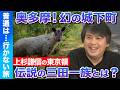 【高橋弘樹vs奥多摩】99%知らない…!? 奥多摩の幻の城下町・軍畑とは?【伝説の三田一族】