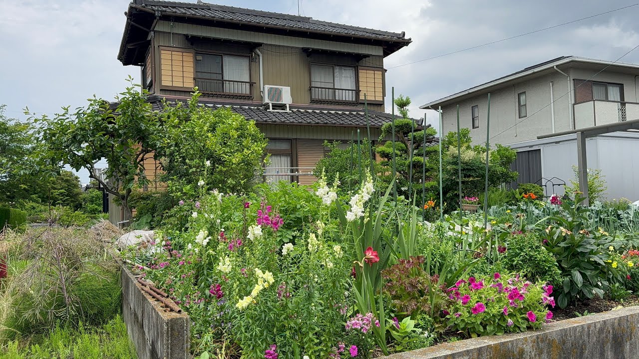 Japanese Village Walking Tour - Country Side in Nagoya, Japan 4K Walk 2024