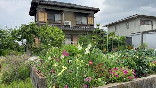 Japanese Village Walking Tour - Country Side in Nagoya, Japan 4K Walk 2024