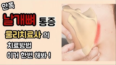 날개뼈 안쪽 통증, 결릴때, 뻐근한 등 해결방법, 스트레칭, 운동(feat.능형근)