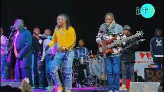 Alick Macheso Latest Song Yakaita mafans waya | Siyanai naye Macheso Hit Song Coming Soon🔥🔥🎸