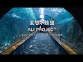 【自作カラオケ音源】 妄想水族館/ALI PROJECT