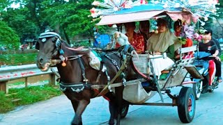 Download Lagu NAIK KUDA~NAIK DELMAN~KUDA~SHOLAWAT RAHMATUN LIL ALAMENA~LAGU NAIK DELMAN ISTIMEWA MP3