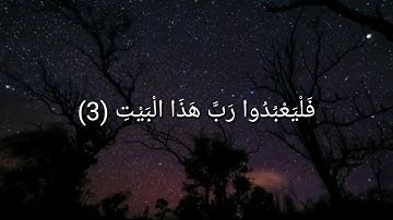 سوره قريش//بصوت الشيخ هزاع البلوشي //ارح سمعك//حالات واتساب