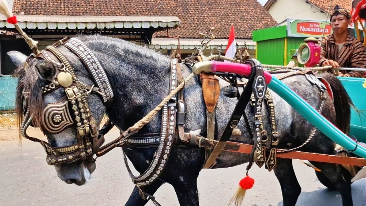 NAIK DELMAN | NAIK DELMAN ISTIMEWA | LAGU ANAK VIRAL | LAGU ANAK INDONESIA