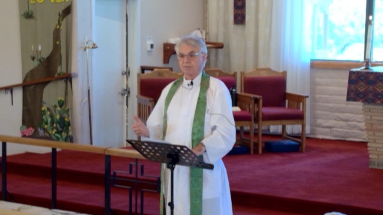Ninth Sunday After Pentecost - proper12 - 26July2026