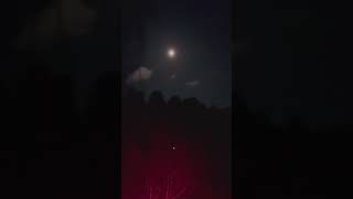 В Украине начались аресты генералов, которые проиграли эту войну #ukraine #ukrainewar