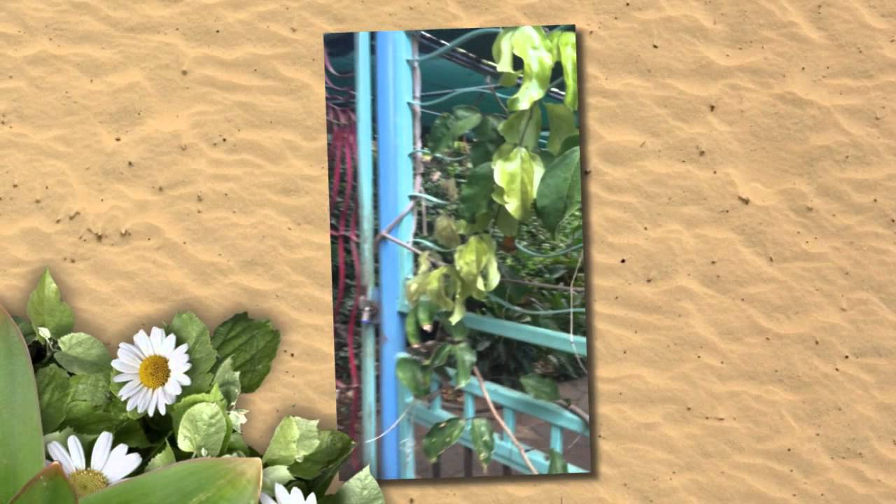 Councilmember Pine's August West Side Adventures