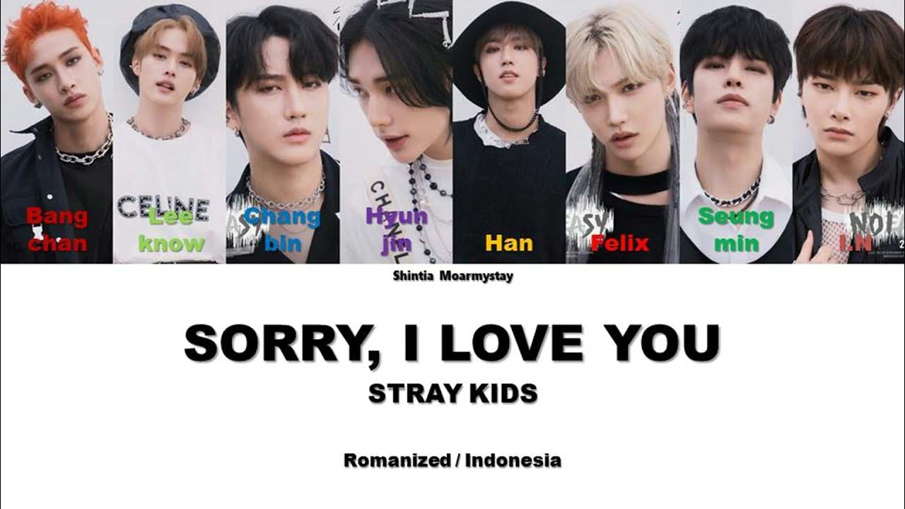 Stray kids перевод. Перевод песни sorry i love you stray. Sorry i love you stray kids. Stray kids sorry i love. Stray kids sorry, love you.