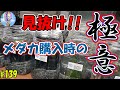 見抜け！メダカ購入時の極意♪【初心者向けメダカ知識】＃１３９ ～美心めだか～