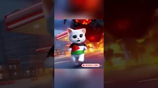 KUCING ISRIWIL BERULAH LAGI || #feedshorts #kitten #kucinglucu #funny #cats #catvideos #comedy