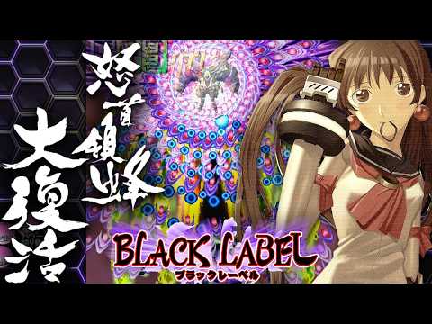 Dodonpachi Resurrection Black Label - Strong Style Hibachi 1CC (926 Billion)