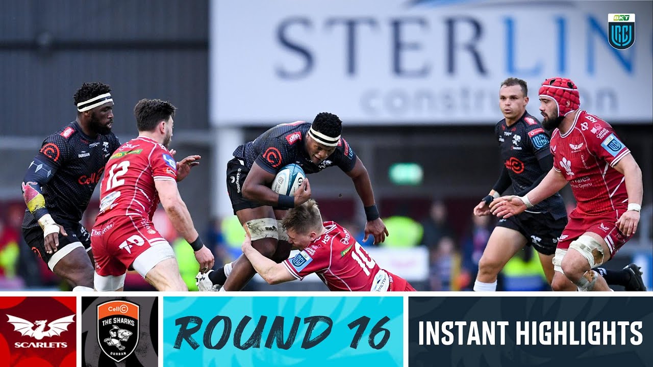 Scarlets v Cell C Sharks Instant Highlights Round 16 URC 2022/23