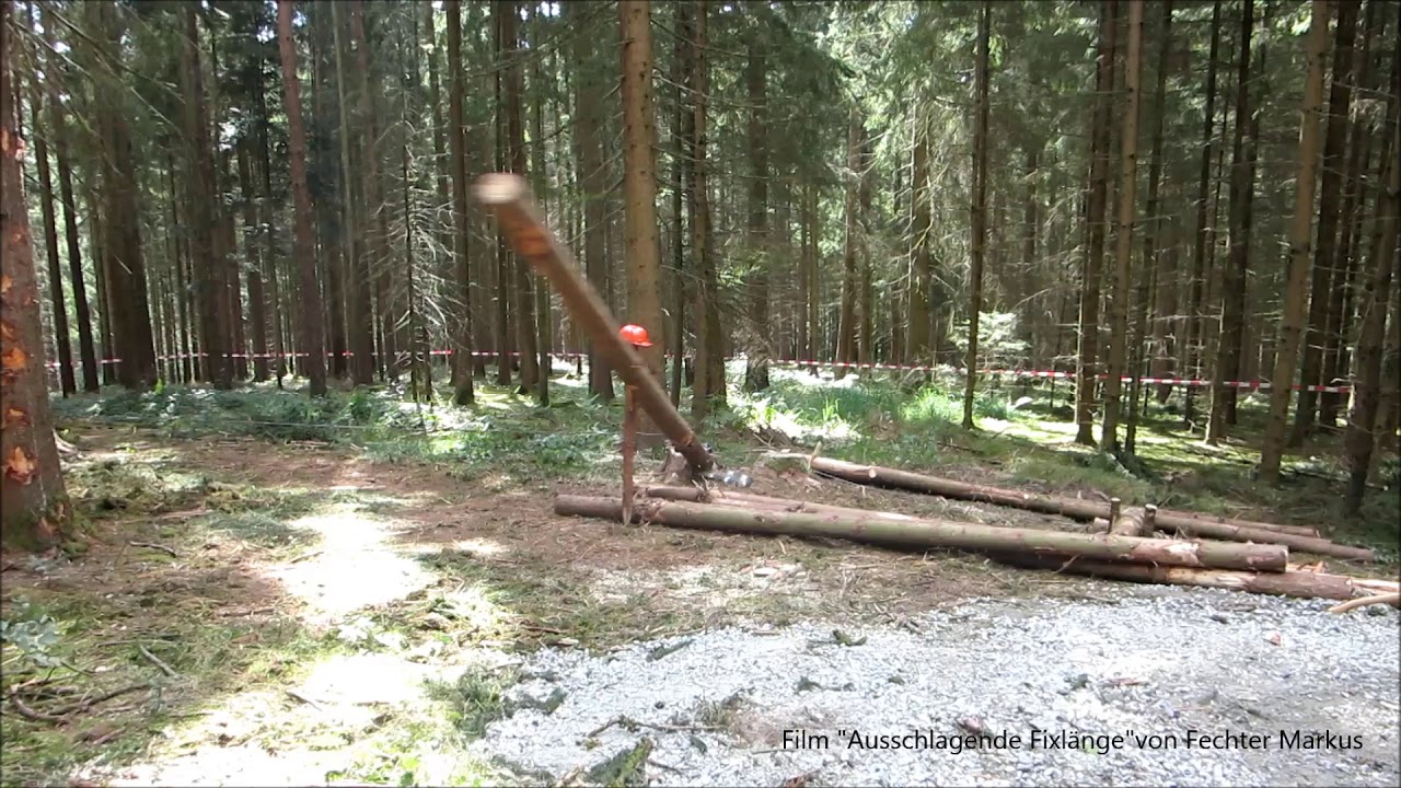 Ausschlagende Fixlänge mit der Forstseilwinde