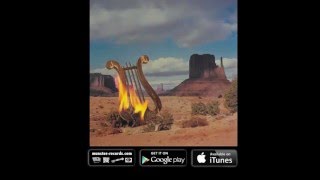 Video thumbnail of "Lyres - Don't Give It Up Now"