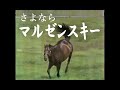 競馬：マルゼンスキー　（ さよならマルゼンスキー ）