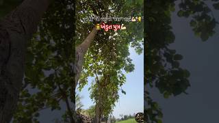 khedut #viral #shorts #khedut #villagelife #realking #kheti #farming #fs26 #yt #reels #ipl #gt #love