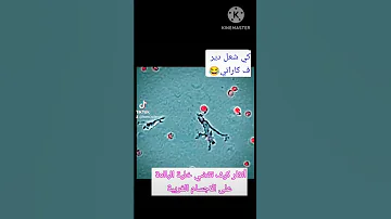 هذه الطريقة التي يعمل بها النظام المناعي عند الانسان 