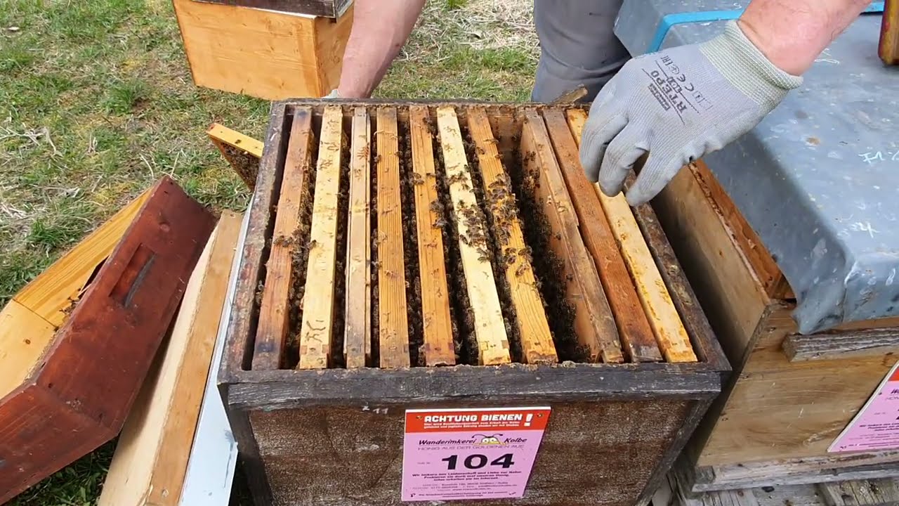 Brutnest zwischen den Schieden anpassen