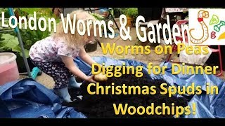 Container Garden 07/09/17 @LondonWorms