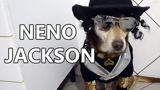 Ninão Se Transforma Em Michael Jackson