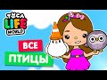 СОБРАЛА ВСЕХ ПТИЦ в Тока Бока 🦆 Toca Life world